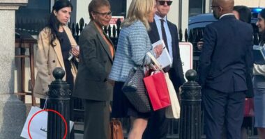 Spencer Pratt accuses Karen Bassâs crew of getting MAGA merch at White House